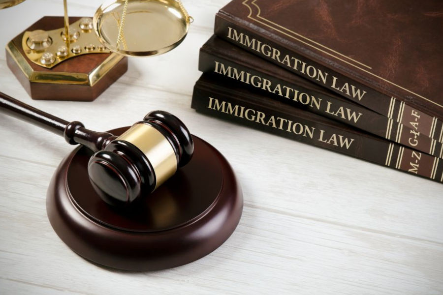 U Visa Immigration Lawyer